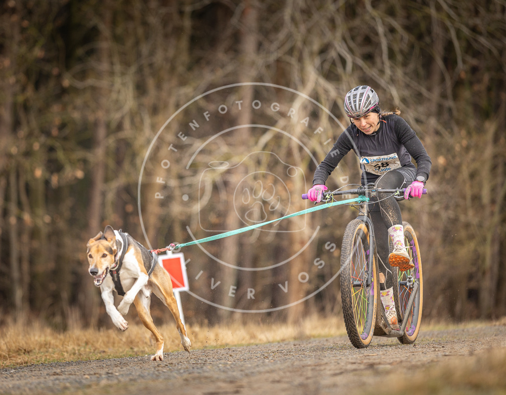 DV3A3365 | Hundefotografie, Tierfotograf, Pfotenfotografie, Fotoshooting Hund, Hunde Portrait, Hundesport, Hundeportraits, Heideshooting, Hunde, Sportfotograf, Hundefotograf, Turnierhundsport, THS,  - Realisiert mit Pictrs.com