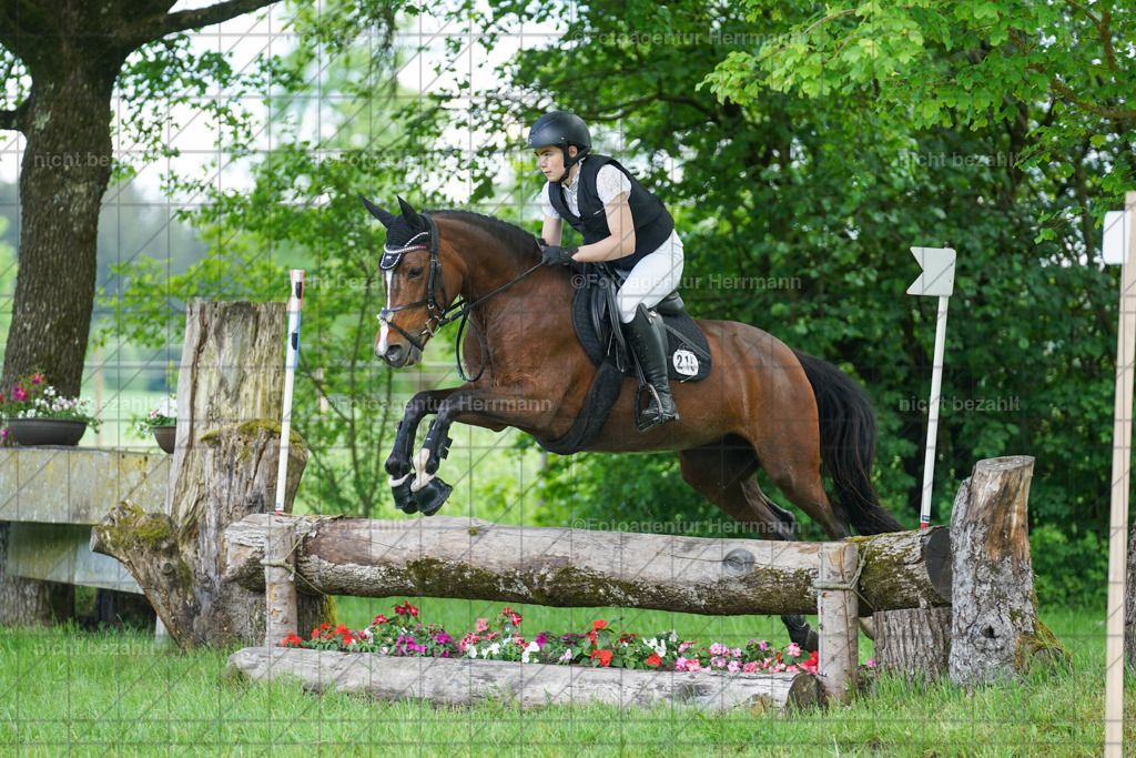 20240518-FAH03799 | Turnierbilder von Niederseon, Turnierfotografen Bayern, Fotoagentur Herrmann, Geländebilder, Reitsportfotografie