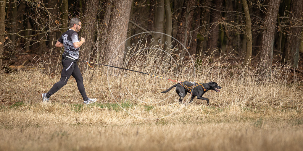 DV3A4197 | Hundefotografie, Tierfotograf, Pfotenfotografie, Fotoshooting Hund, Hunde Portrait, Hundesport, Hundeportraits, Heideshooting, Hunde, Sportfotograf, Hundefotograf, Turnierhundsport, THS,  - Realisiert mit Pictrs.com