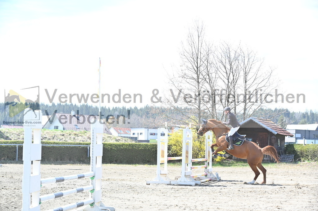 DSC_4999 | equestrian-live-com