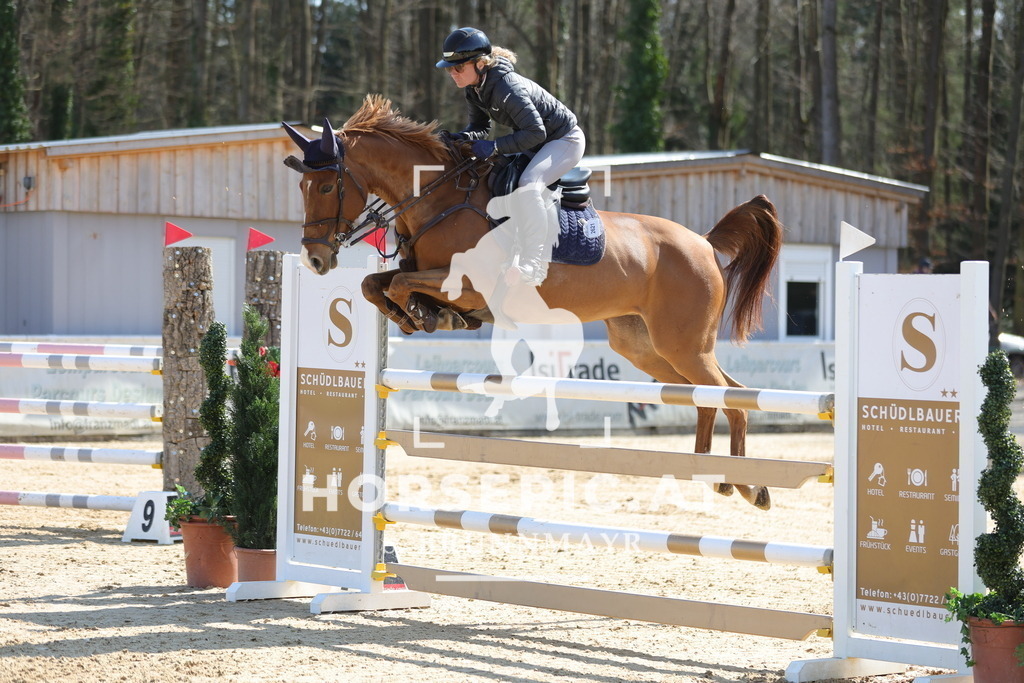 0P6A1381 | Willkommen bei Brunnmayr - Design & Fotografie – Ihrem Spezialisten für Reitturniere und Pferdeveranstaltungen in Oberösterreich, Salzburg und Bayern! Seit über 17 Jahren sind wir leidenschaftlich dabei.