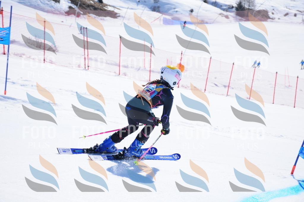 DSC_4020 | holidayphoto