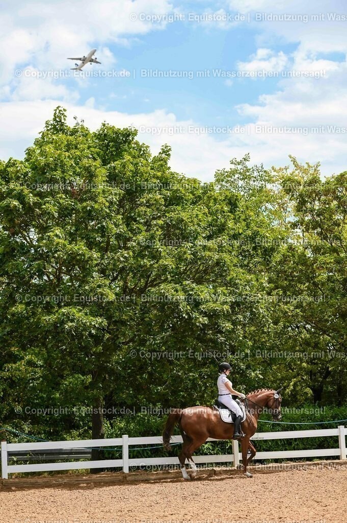 20230715_05_Dressurprüfung Kl.A++_0045 | equistock