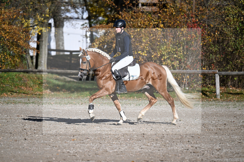 Kat-Nr. 7 Narcotic v. Nakuri_ZG Hackfurt u Weiser_43250735 | hf-fotografie - Realisiert mit Pictrs.com