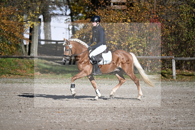 Kat-Nr. 7 Narcotic v. Nakuri_ZG Hackfurt u Weiser_43250735 | hf-fotografie - Realized with Pictrs.com