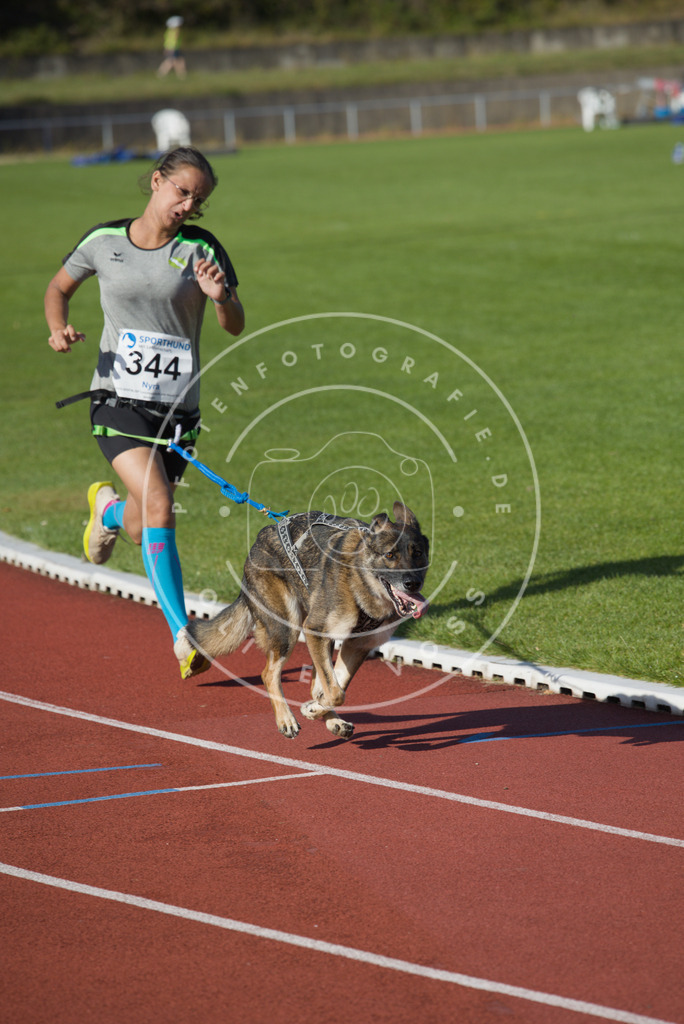 0L8A9170 | Hundefotografie, Tierfotograf, Pfotenfotografie, Fotoshooting Hund, Hunde Portrait, Hundesport, Hundeportraits, Heideshooting, Hunde, Sportfotograf, Hundefotograf, Turnierhundsport, THS,  - Realisiert mit Pictrs.com