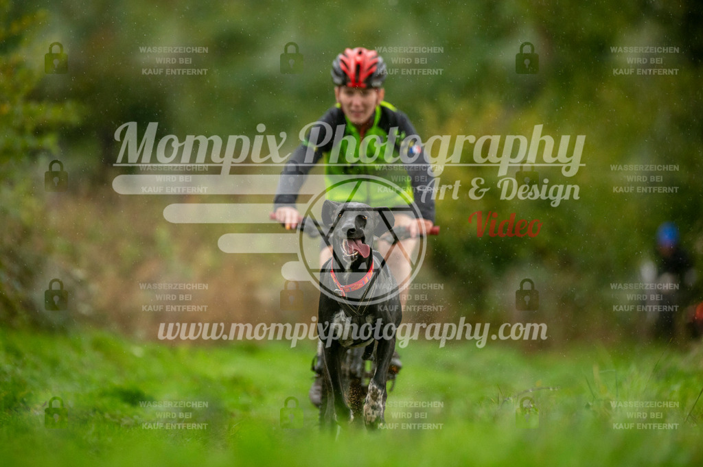 TSB_2023_E6_Bike-44 | PayLife