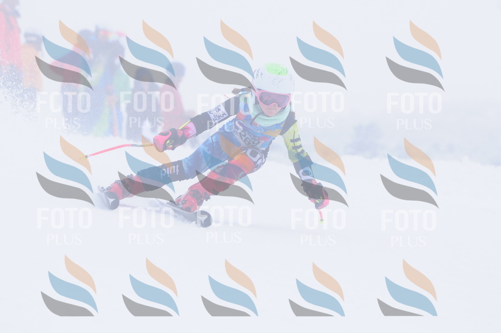 C2823 | holidayphoto