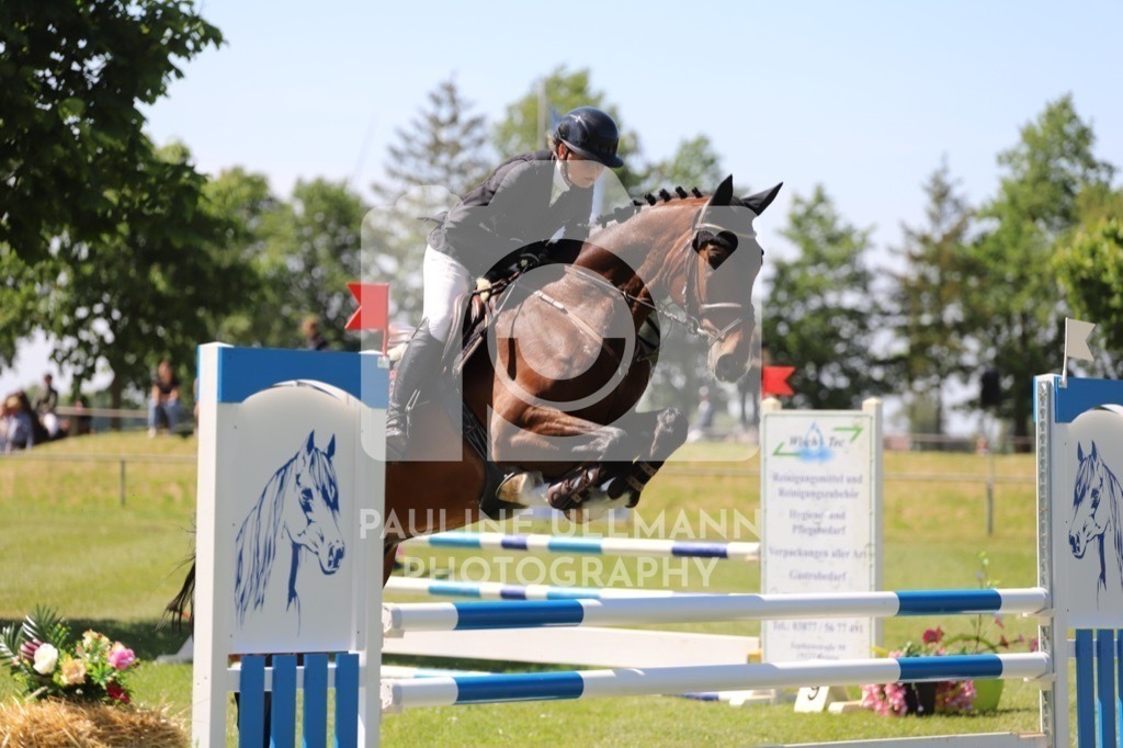 IMG_6212 | Pauline Ullmann Photography - Realisiert mit Pictrs.com