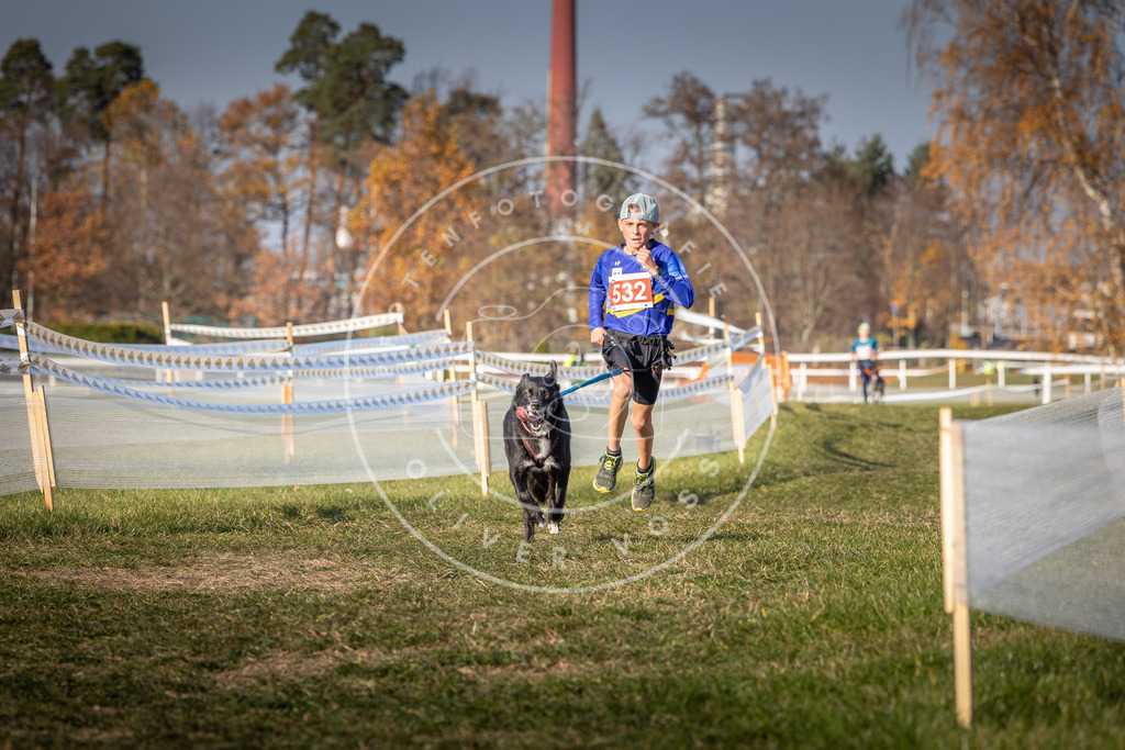 CaniXpix_0L8A8788 | Hundefotografie, Tierfotograf, Pfotenfotografie, Fotoshooting Hund, Hunde Portrait, Hundesport, Hundeportraits, Heideshooting, Hunde, Sportfotograf, Hundefotograf, Turnierhundsport, THS,  - Realisiert mit Pictrs.com