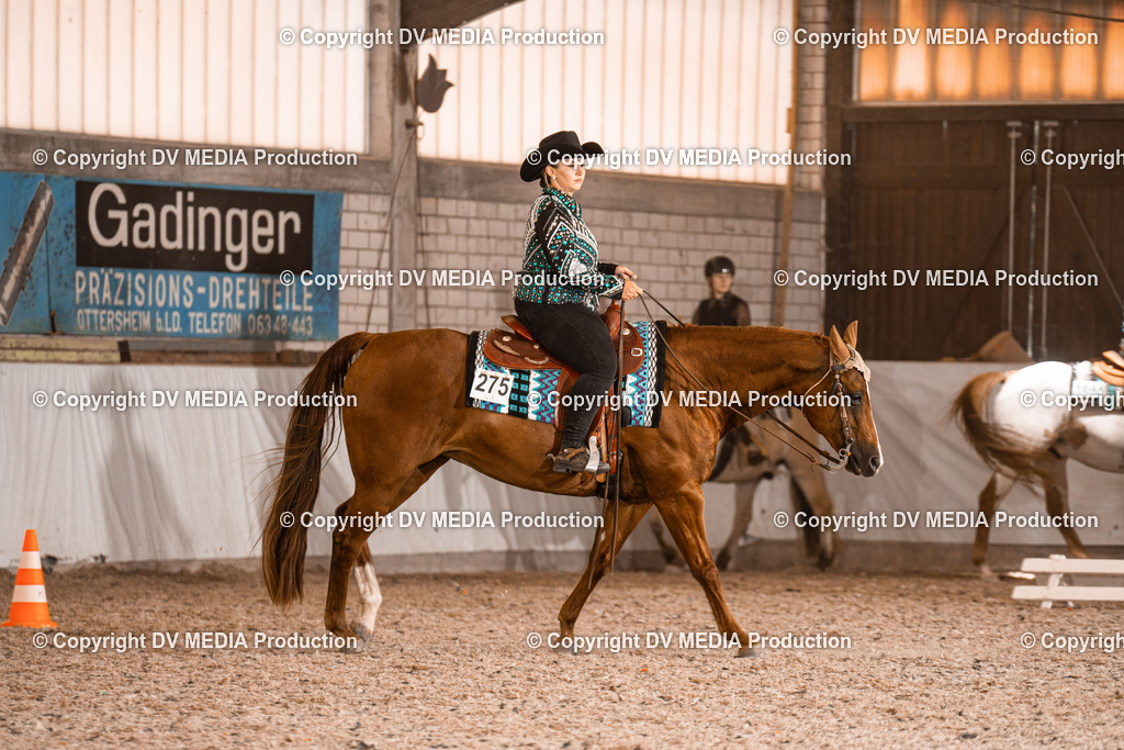 ZH100869 | dv-media-shop - Realisiert mit Pictrs.com