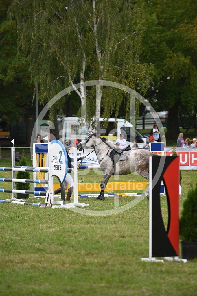 DSC_2260 | sattelsport - Realisiert mit Pictrs.com