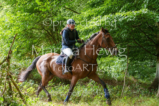 Jagd Knoop 26_MarinaHewigMCH02428 | Fotografie, FotoArt, PferdesportArt, Pferdesportfotografie, Landschaftsfotografie, Reisefotografie, Reise, Pferde - Realisiert mit Pictrs.com