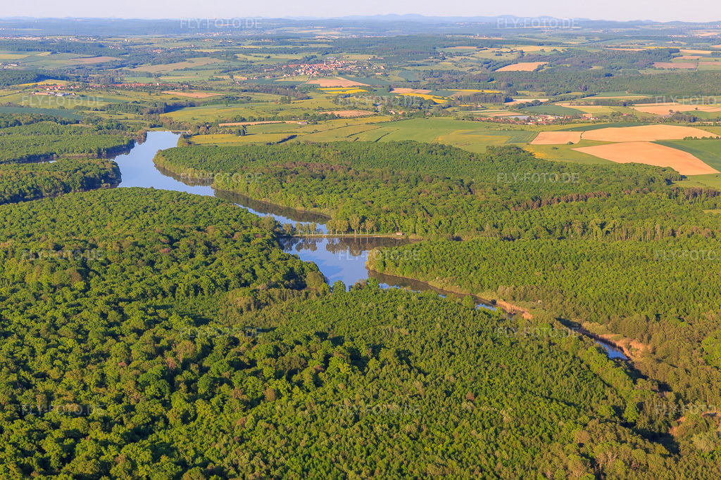 Luftbild: Gemein Weiher und Lang Weiher im Wald in Fénétrange im Bundesland Moselle in Frankreich. Foto: IMG_146141.jpg vom 01.05.2025 durch Werner Riehm/FLY-FOTO.de