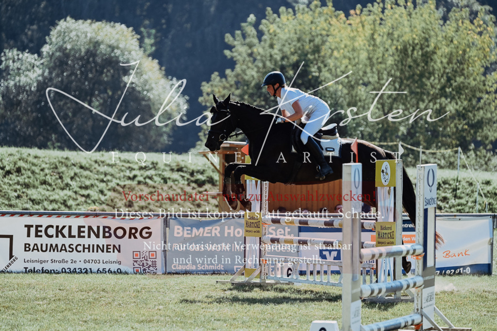 DSC_5687 | Pferde- und Turnierfotografie in Westsachsen. Pferdeportraits, Auftragszeichnungen und intuitive Kunst.