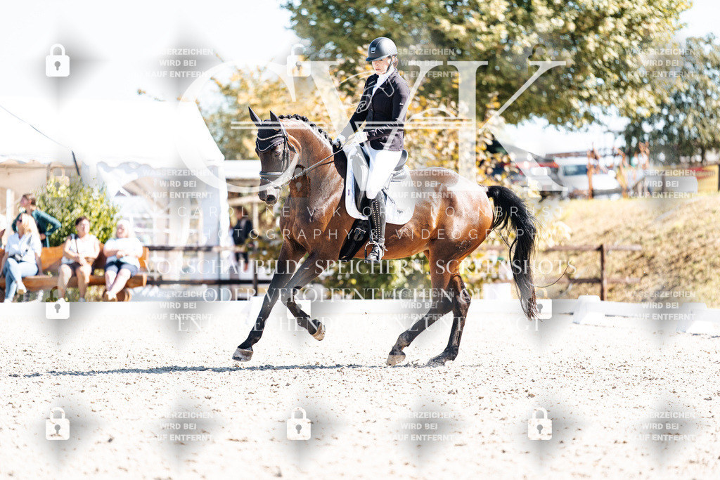 CK909758 | Turnierfotografie Pferdefotografie Trier Rheinland-Pfalz Pferdesport Reitsport Tierfotografie Sportfotografie Pferdevideo Pferdevideografie Equestrianvideography equestrianphotography  - Realisiert mit Pictrs.com