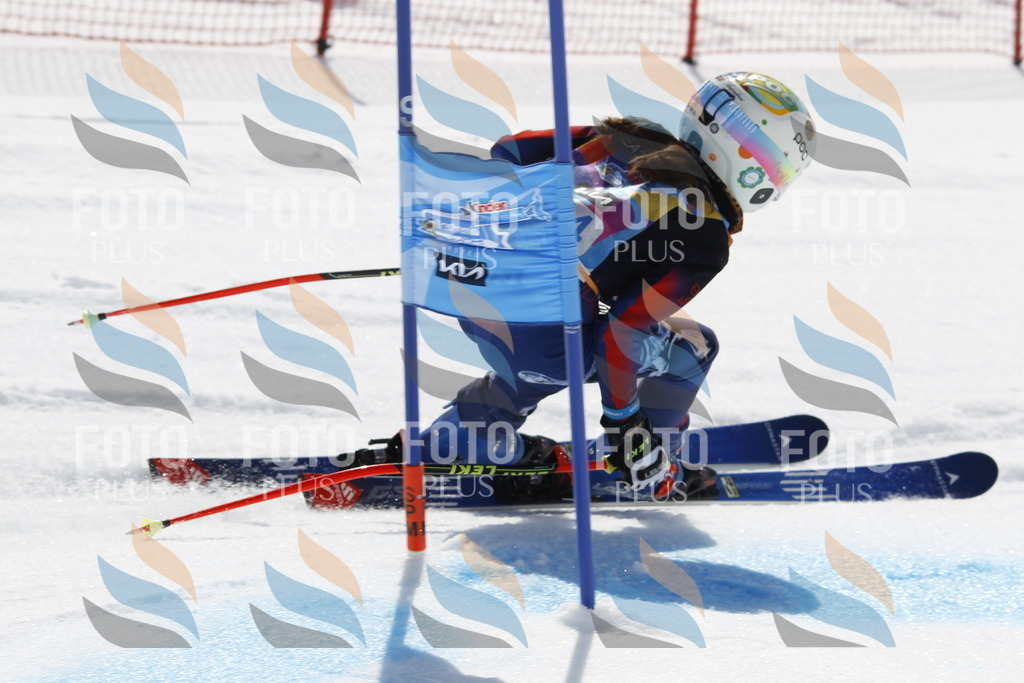 _U3G1430 | holidayphoto