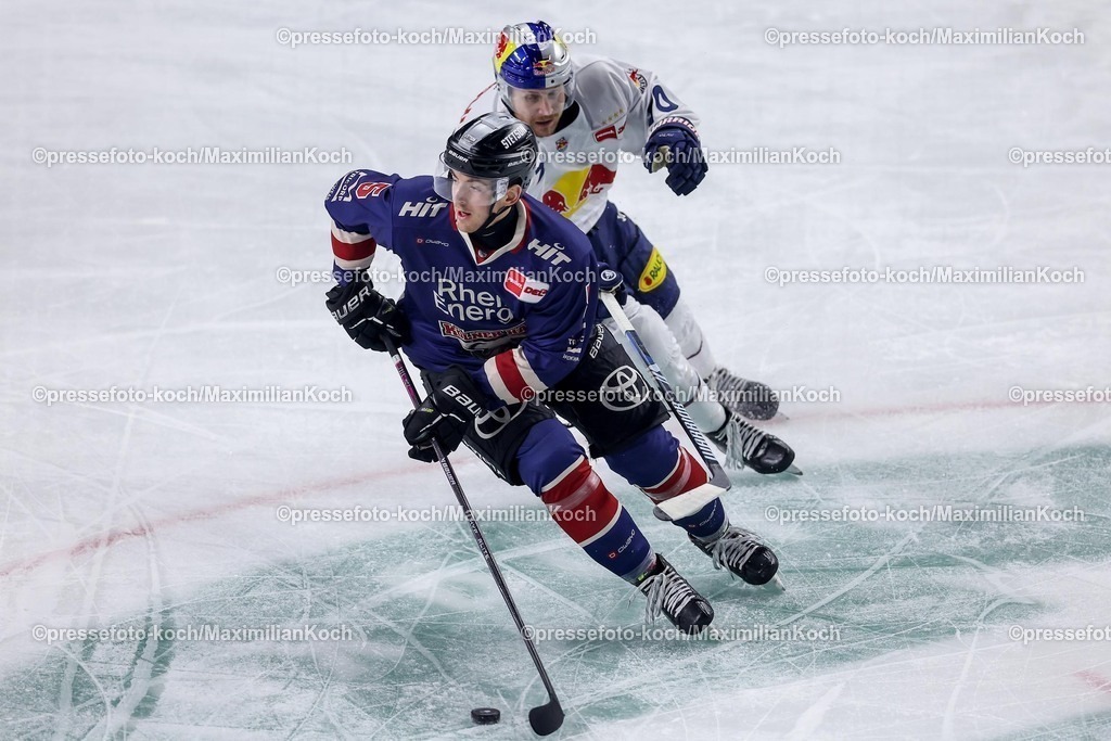 KEC03012501022 | 03.01.2025, Eishockey, Penny DEL, Kölner Haie - EHC Red Bull München, Spieltag 33, Lanxess-Arena Köln: Robin van Calster (Kölner Haie #5) gegen Maximilian Daubner (EHC München #70)