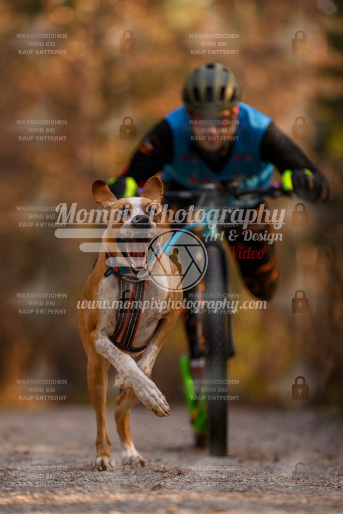 MompixPhotography_DM_AKDM_SO_2025_Scooter-77 | PayLife