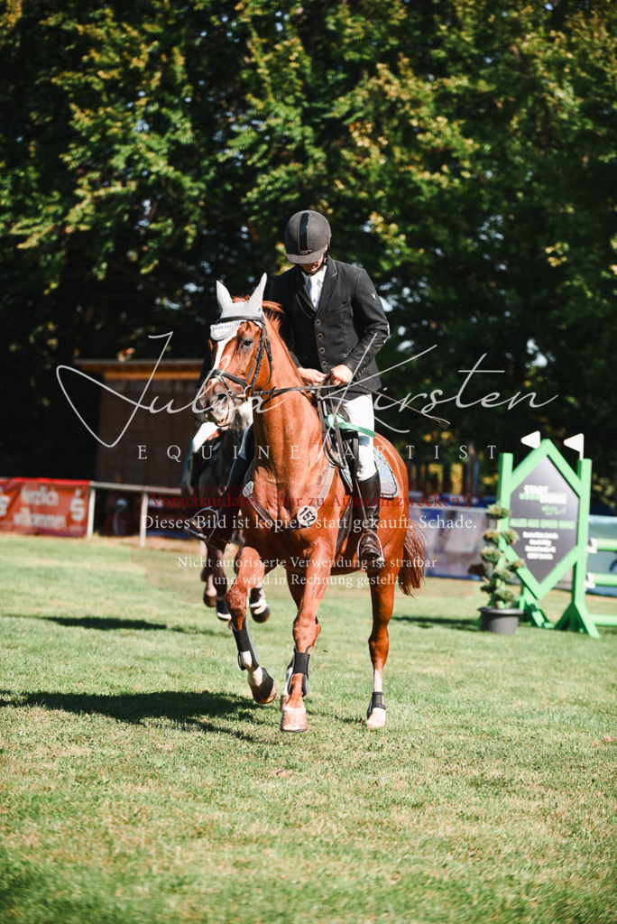 DSC_2649 | Pferde- und Turnierfotografie in Westsachsen. Pferdeportraits, Auftragszeichnungen und intuitive Kunst.