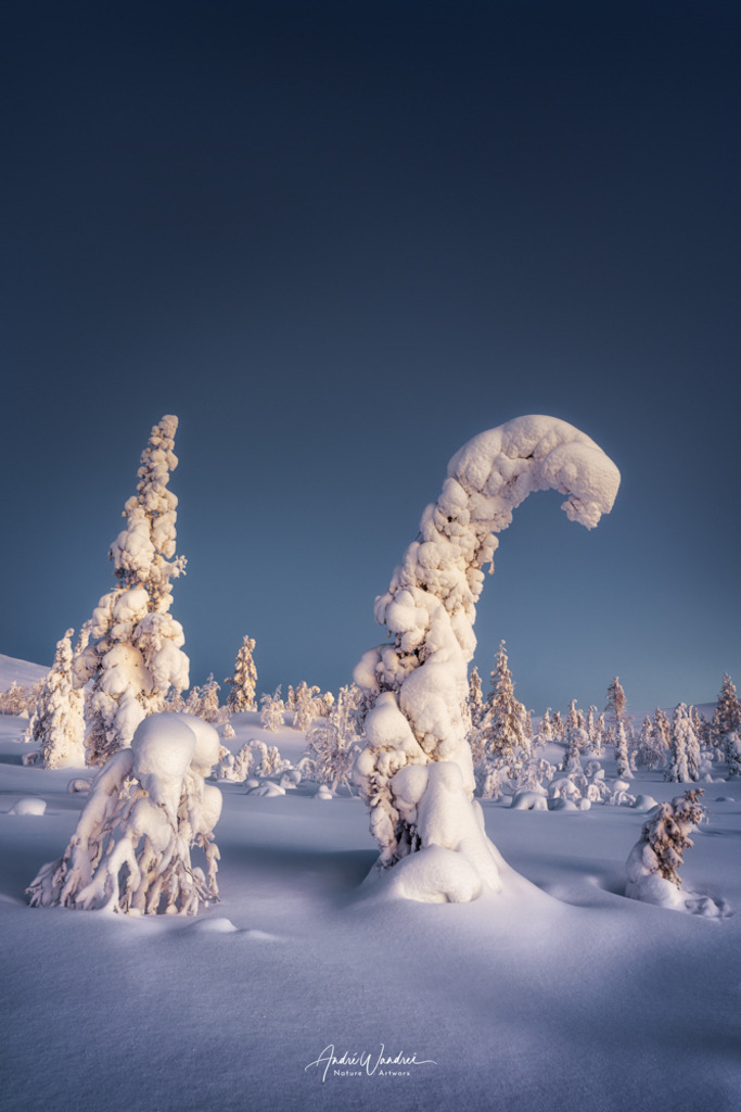 Eistrolle | Andre Wandrei - Nature Artworx - Realisiert mit Pictrs.com