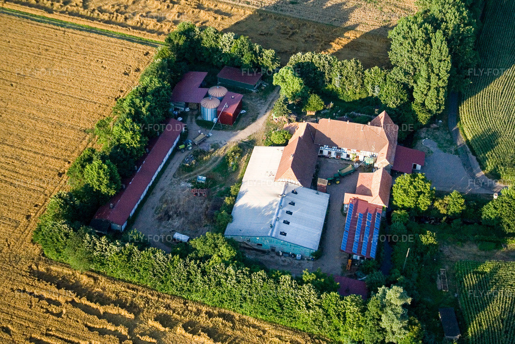 Luftbild: am Erlenbach, Leistenmühle in Kandel im Bundesland Rheinland-Pfalz in Deutschland. Foto: IMG_11782.jpg vom 25.07.2008 durch Werner Riehm/FLY-FOTO.de