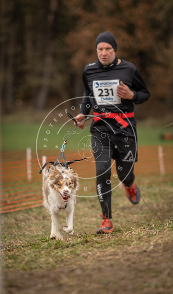 DV3A3075 | Hundefotografie, Tierfotograf, Pfotenfotografie, Fotoshooting Hund, Hunde Portrait, Hundesport, Hundeportraits, Heideshooting, Hunde, Sportfotograf, Hundefotograf, Turnierhundsport, THS,  - Realisiert mit Pictrs.com