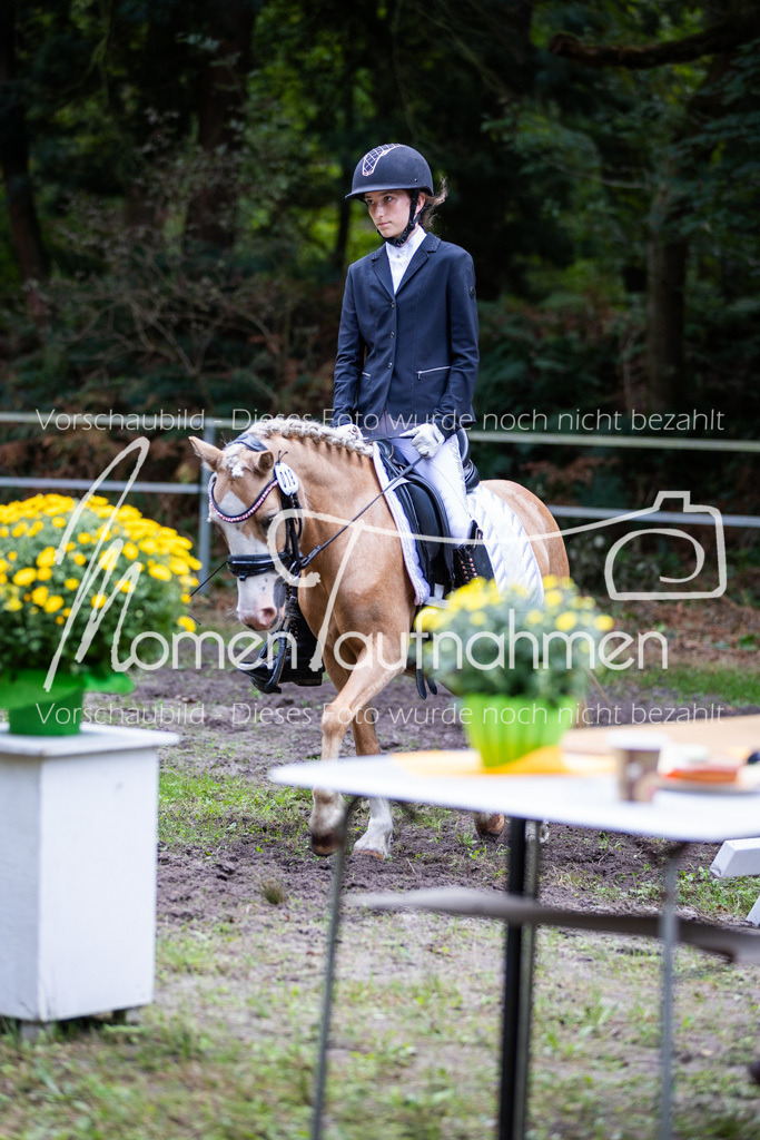 HB-Dressur-WB-001 | MomenTaufnahmen Pferdesportfotos