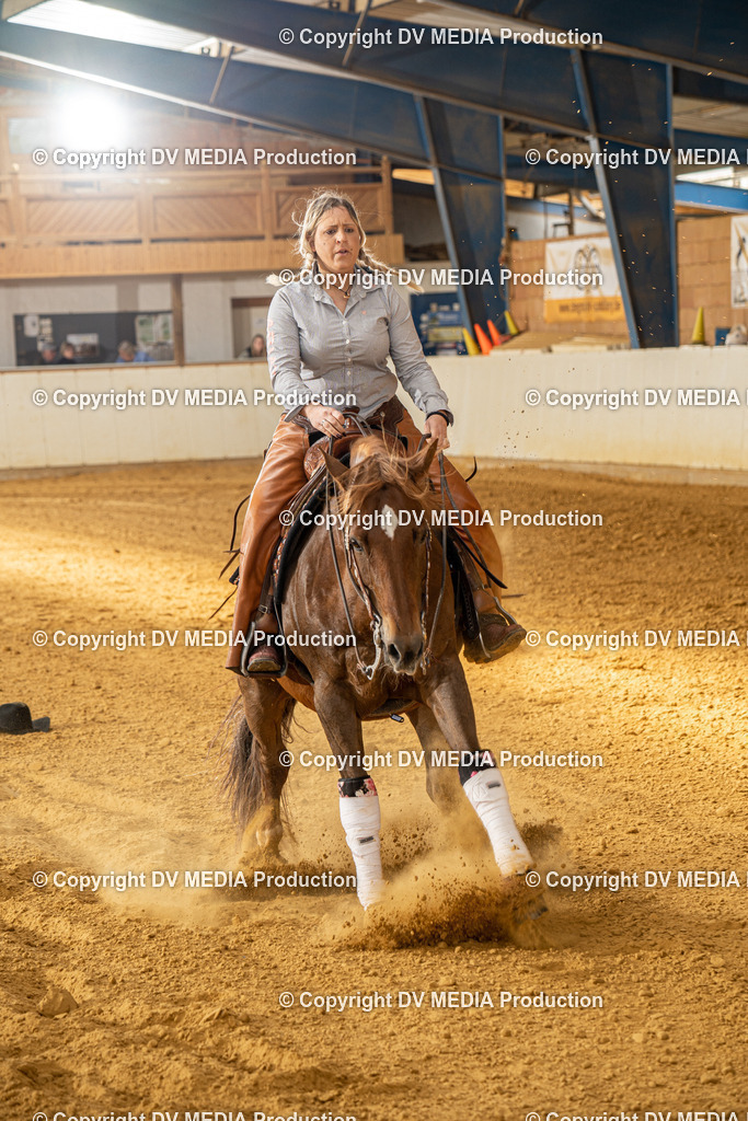 MIT01018 | dv-media-shop - Realisiert mit Pictrs.com