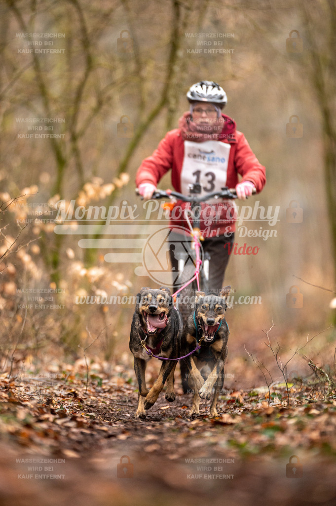 Reiat2023_SON_DS2_8km_2H-15 | PayLife