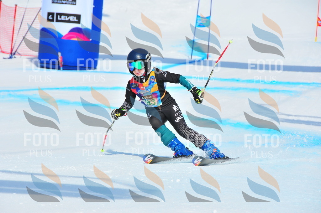 DSC_1450 | holidayphoto