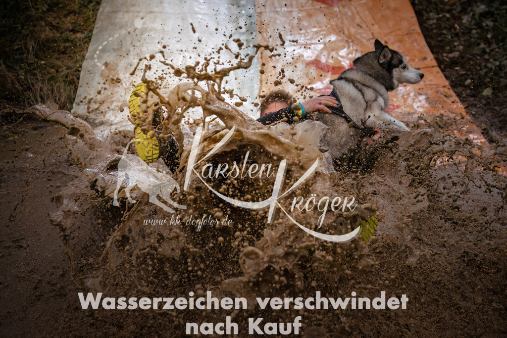 0831_ZZ90619 | kk-dogfotos