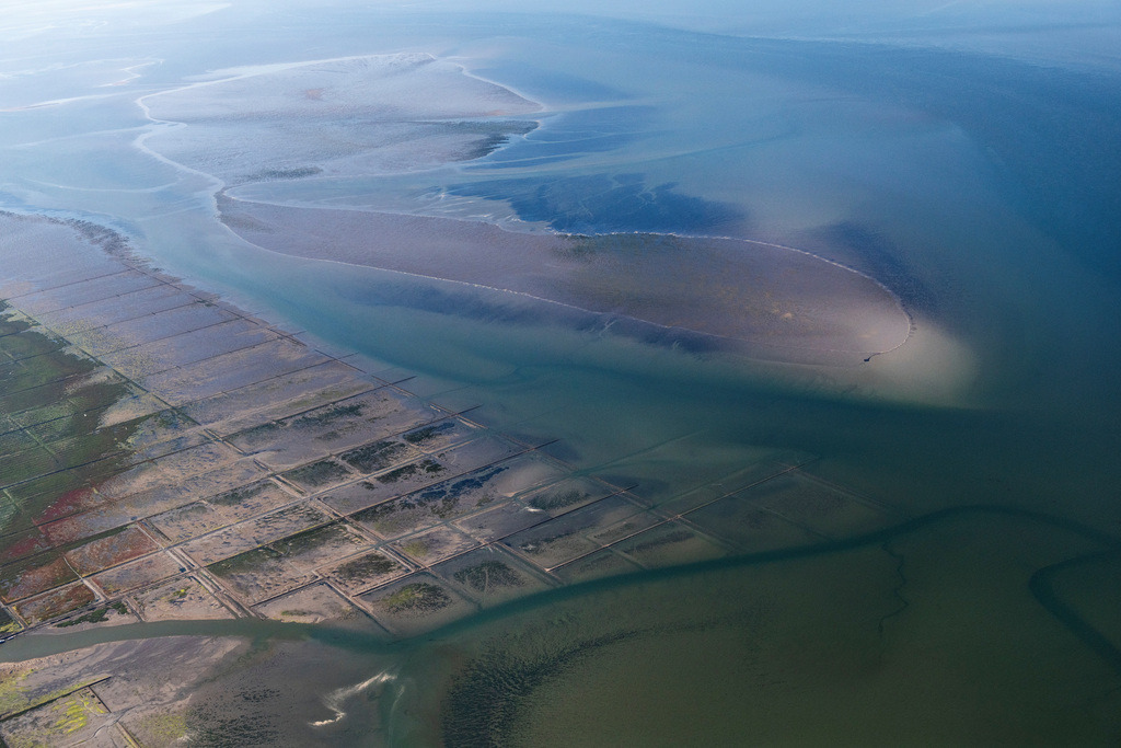 dr__0202027.jpg | PELLWORM 06.09.2023 Sandbank- Landfläche durch Strömungen unter der Meeres- Wasseroberfläche vor Südfall und Pellworm im Bundesland Schleswig-Holstein, Deutschland. 
