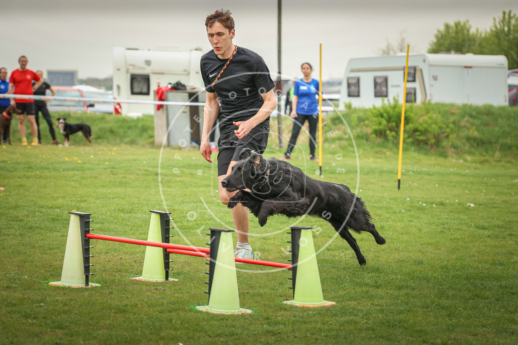 Pfotenfotografie_0L8A0494 | Hundefotografie, Tierfotograf, Pfotenfotografie, Fotoshooting Hund, Hunde Portrait, Hundesport, Hundeportraits, Heideshooting, Hunde, Sportfotograf, Hundefotograf, Turnierhundsport, THS,  - Realisiert mit Pictrs.com