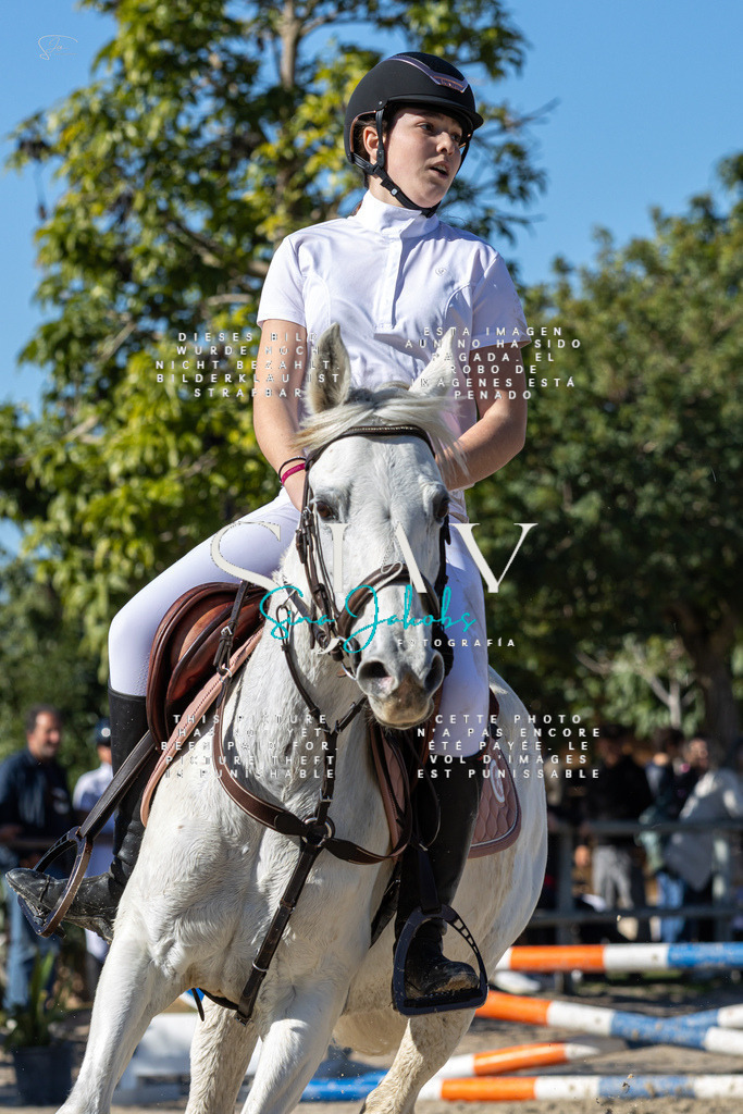 IMG_8591 | s-jay-photography - Realisiert mit Pictrs.com