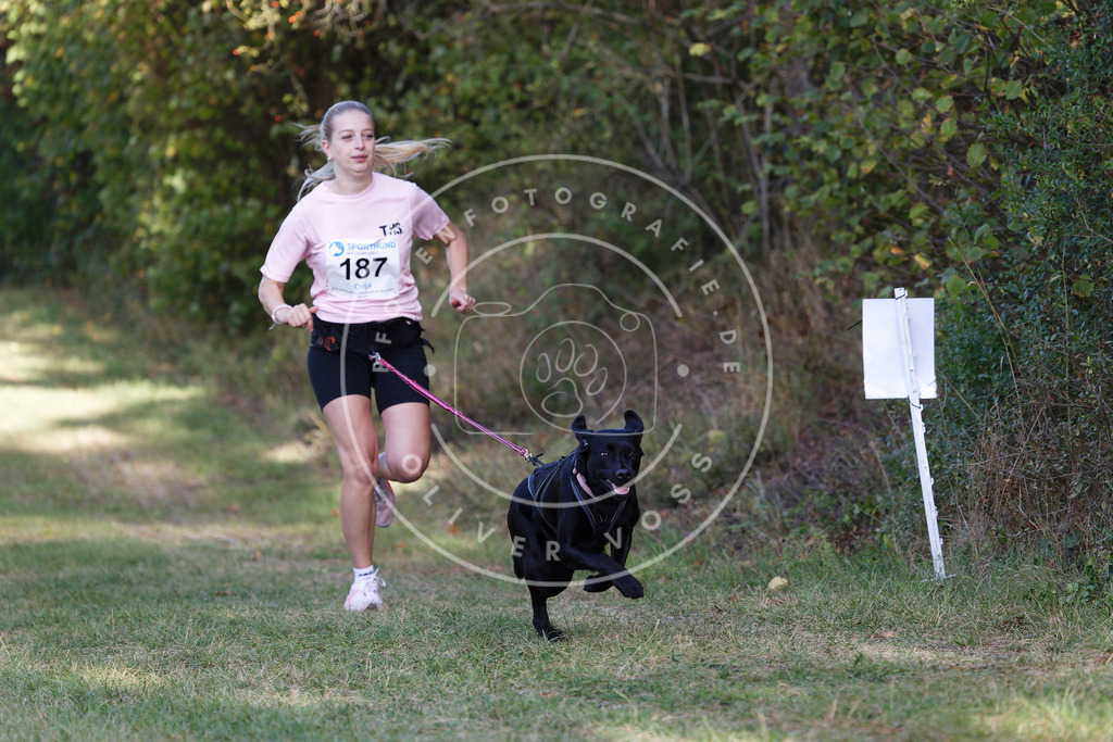 0L8A5492 | Hundefotografie, Tierfotograf, Pfotenfotografie, Fotoshooting Hund, Hunde Portrait, Hundesport, Hundeportraits, Heideshooting, Hunde, Sportfotograf, Hundefotograf, Turnierhundsport, THS,  - Realisiert mit Pictrs.com