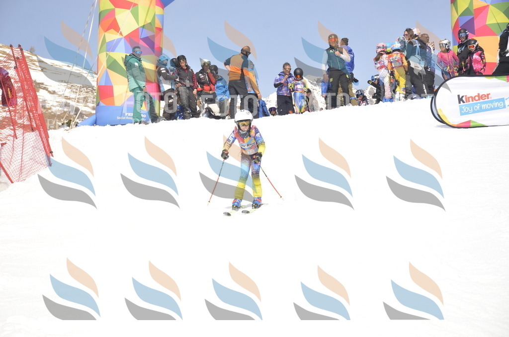 _ELE8988 | holidayphoto