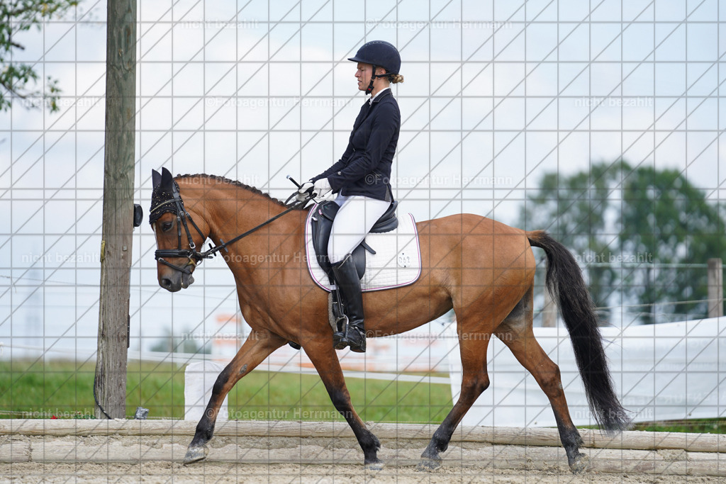20230826-FAH05400 | Forstinning, 2023, Dressurturnier, Turniersportbilder, Turnierfotografen Bayern, Fotoagentur Herrmann, Reitsportfotografie, Turnierbilder
