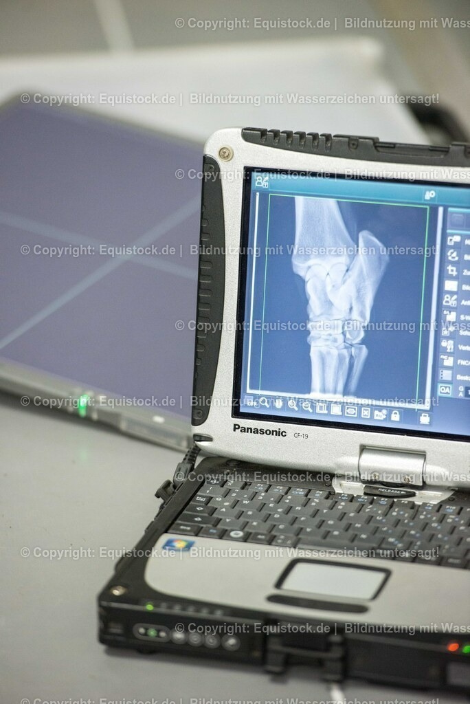 20170113_R__ntgen_0007 | Foto: Thomas Hartig