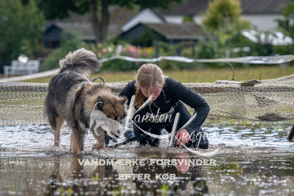 1343_ZZ90753 | kk-dogfotos