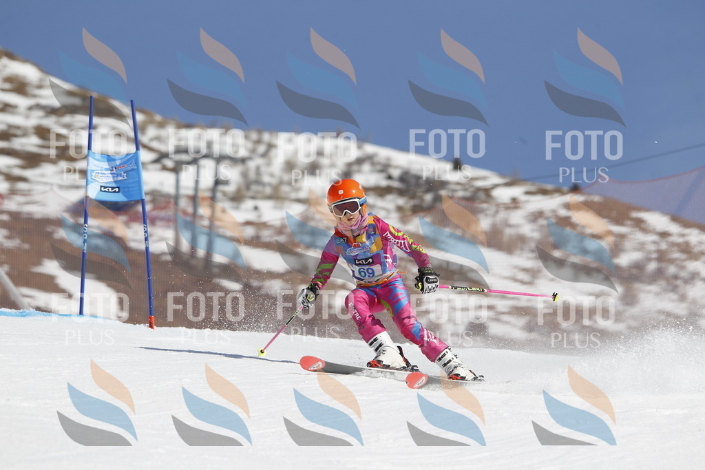 _U3G9795 | holidayphoto