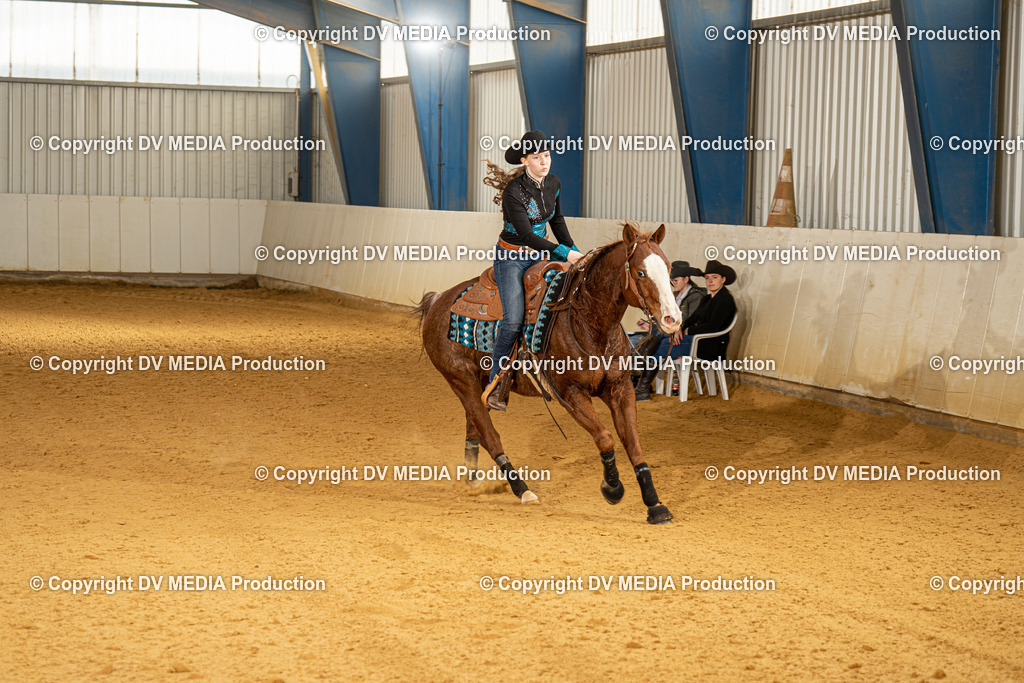 MIT00086 | dv-media-shop - Realisiert mit Pictrs.com