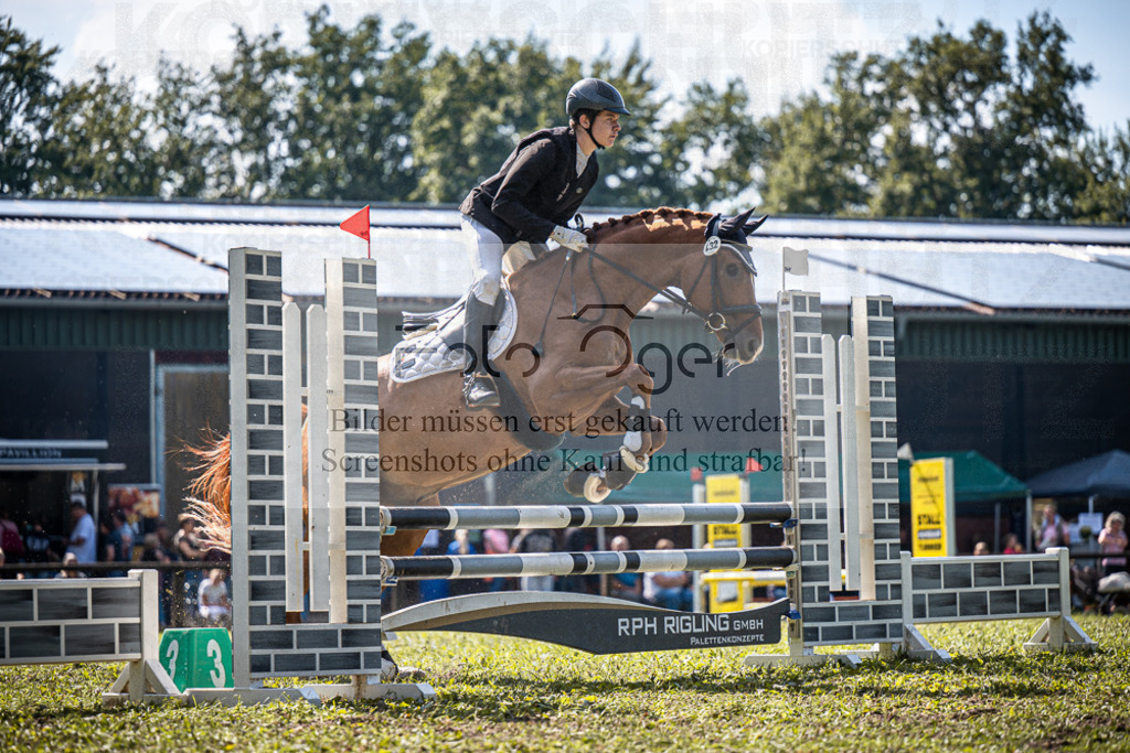 Z63_0016 | Entdecke hochwertige Reitturnierfotos von Foto Oger. Professionell, emotional und authentisch – jetzt Lieblingsmomente im Shop bestellen.Deutschlandweite Turnierfotografie. - Realisiert mit Pictrs.com