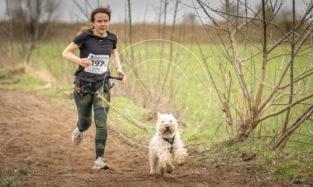 DV3A2369 | Hundefotografie, Tierfotograf, Pfotenfotografie, Fotoshooting Hund, Hunde Portrait, Hundesport, Hundeportraits, Heideshooting, Hunde, Sportfotograf, Hundefotograf, Turnierhundsport, THS,  - Realisiert mit Pictrs.com