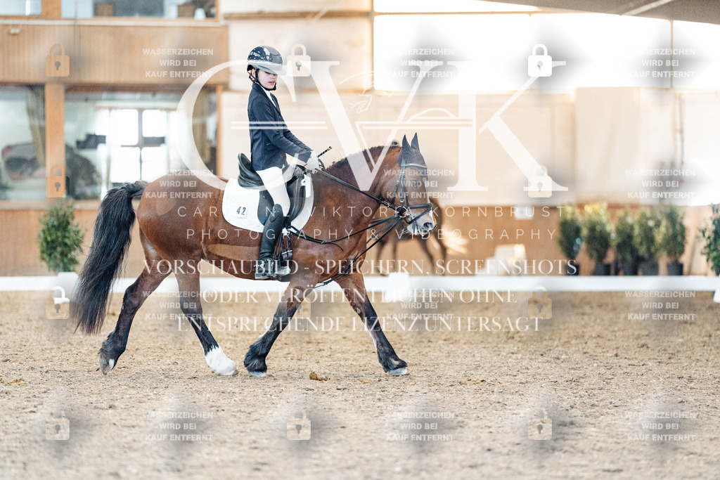 CK907864 | Turnierfotografie Pferdefotografie Trier Rheinland-Pfalz Pferdesport Reitsport Tierfotografie Sportfotografie Pferdevideo Pferdevideografie Equestrianvideography equestrianphotography  - Realisiert mit Pictrs.com