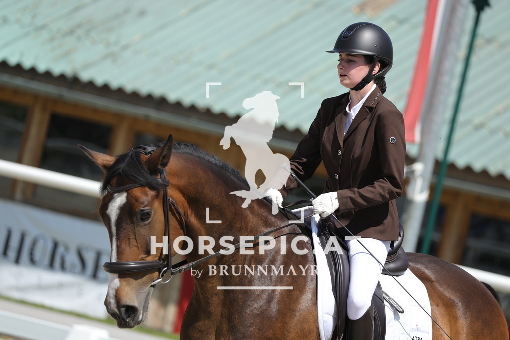 0P6A1068 | Willkommen bei Brunnmayr - Design & Fotografie – Ihrem Spezialisten für Reitturniere und Pferdeveranstaltungen in Oberösterreich, Salzburg und Bayern! Seit über 17 Jahren sind wir leidenschaftlich dabei.