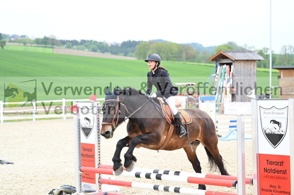 DSC_1950 | equestrian-live-com