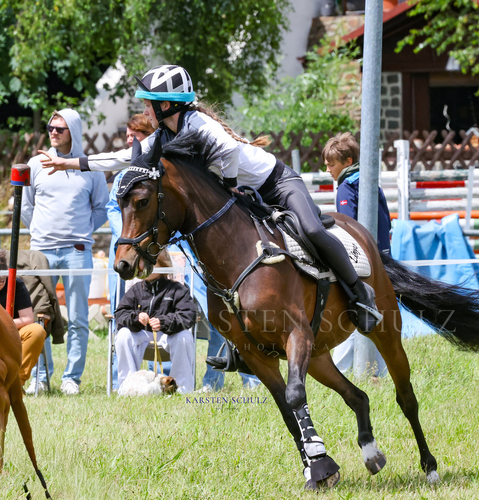 1B3A1088 | Reitsport Reiten