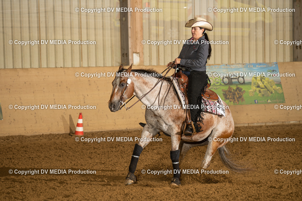 LAU00418 | dv-media-shop - Realisiert mit Pictrs.com