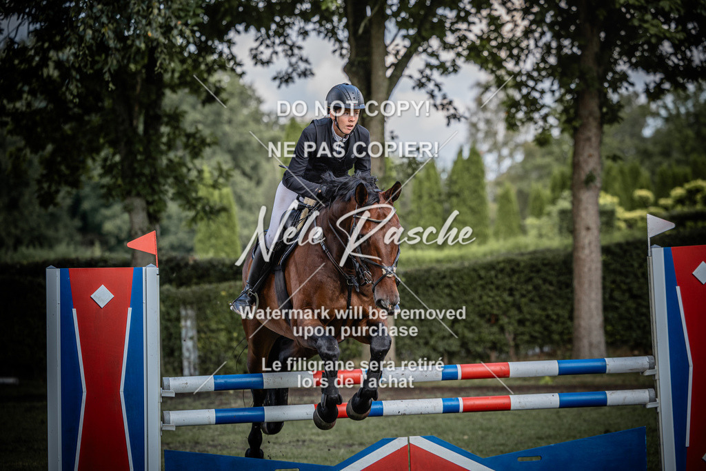 nelerasche_SprL115Ede_57 | nelerasche